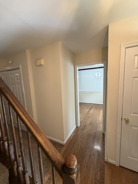 Gallery Photo 16